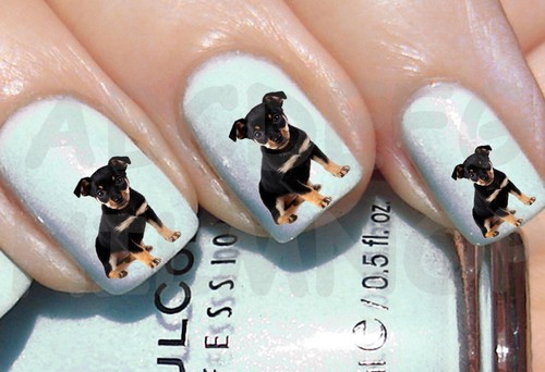 60x water decals cucciolo - 60x,