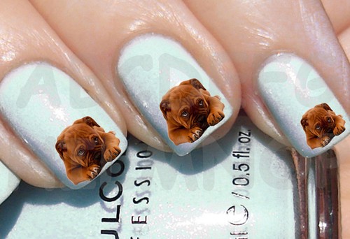 60x water decals cane cucciolo - cane,
