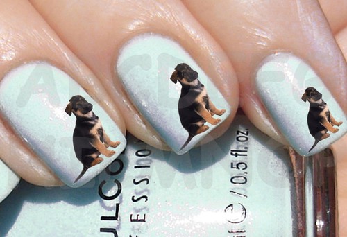 60x water decals - 60x, cucciolo