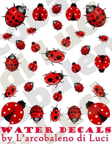 Water decals coccinelle - decals,