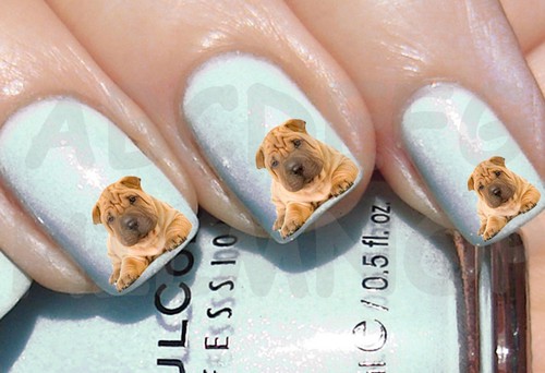 60x water decals - decals, cucciolo