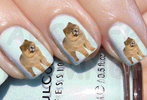 60x water decals - cane, chow