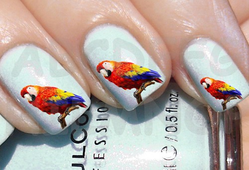 60x water decals pappagallo - water,
