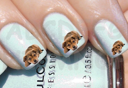 60x water decals cane - decals, cucciolo