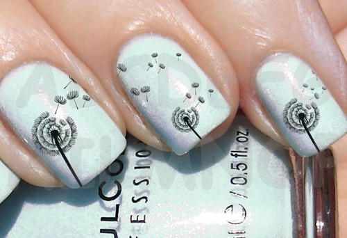 60x water decals soffione - water,