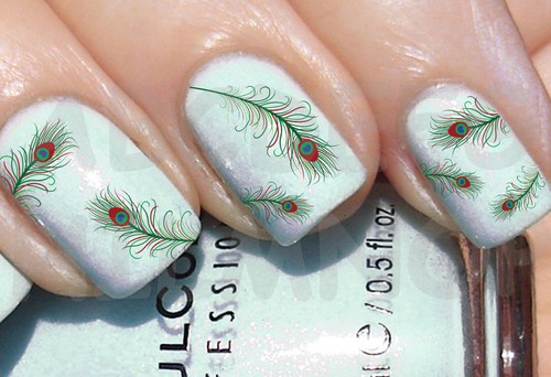 60x water decals piuma pavone - 60x,