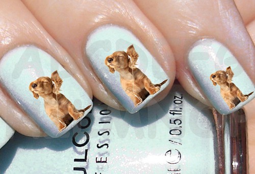 60x water decals cane cuffie - water,