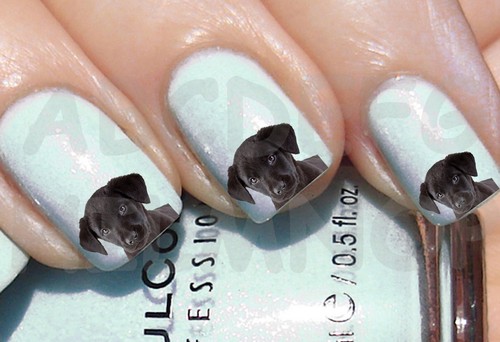 60x water decals cane - 60x, labrador