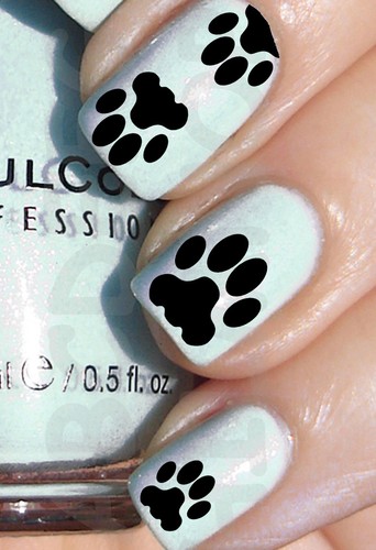 60x water decals zampe - decals,